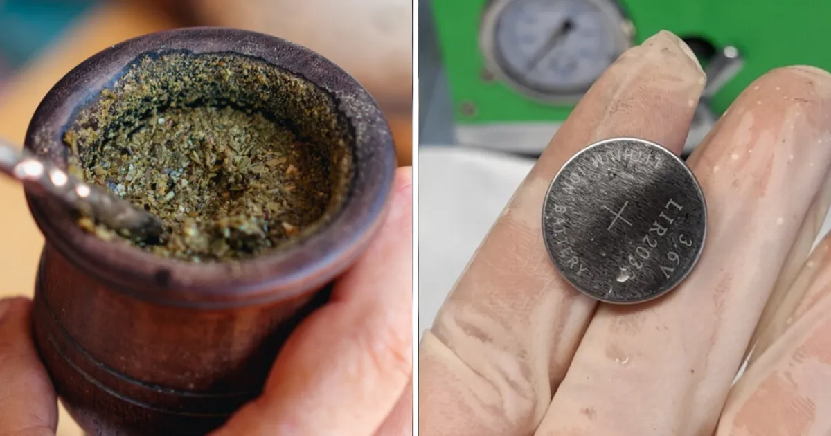 Crean pilas recargables con yerba mate usada