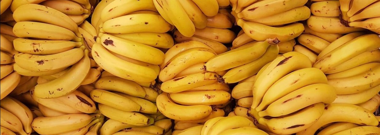 Economía circular: la desaladora solar con pieles de plátano