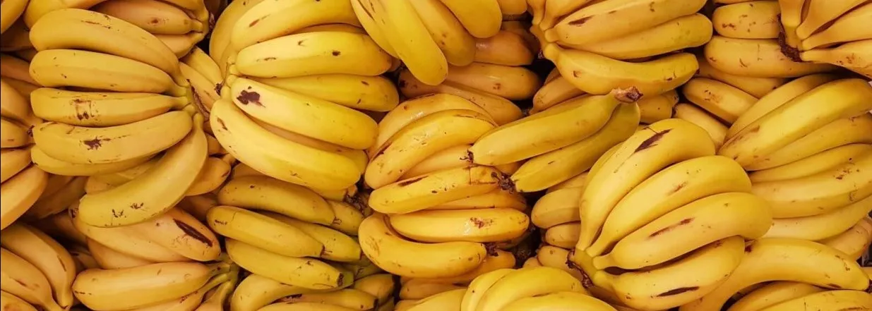 Economía circular: la desaladora solar con pieles de plátano