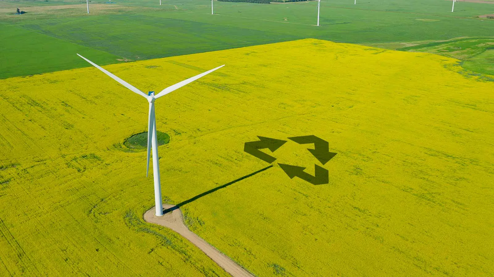 Reciclaje de Palas Eólicas: La Solución Sostenible al Dilema Energético